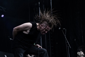 Cattle Decapitation