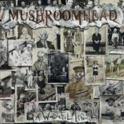 Mushroomhead seen it all wonderful life