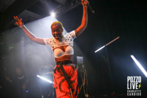 pongo connexion live
