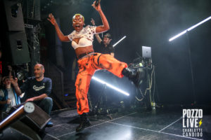pongo connexion live