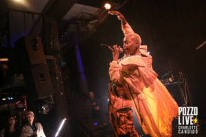 pongo connexion live