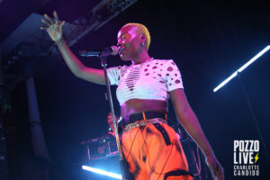 pongo connexion live