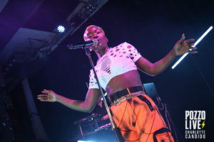 pongo connexion live