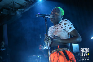 pongo connexion live