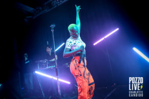 pongo connexion live