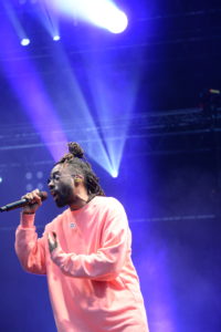 Luidji Cabaret Vert 2022
