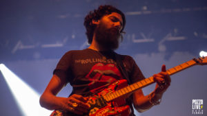 infected mushroom toulouse