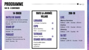 Festival Perception(s)