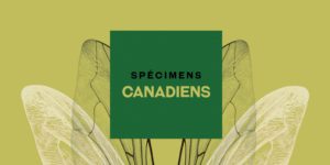 Spécimens canadiens Printemps de Bourges 2023
