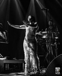 Little Dragon concert