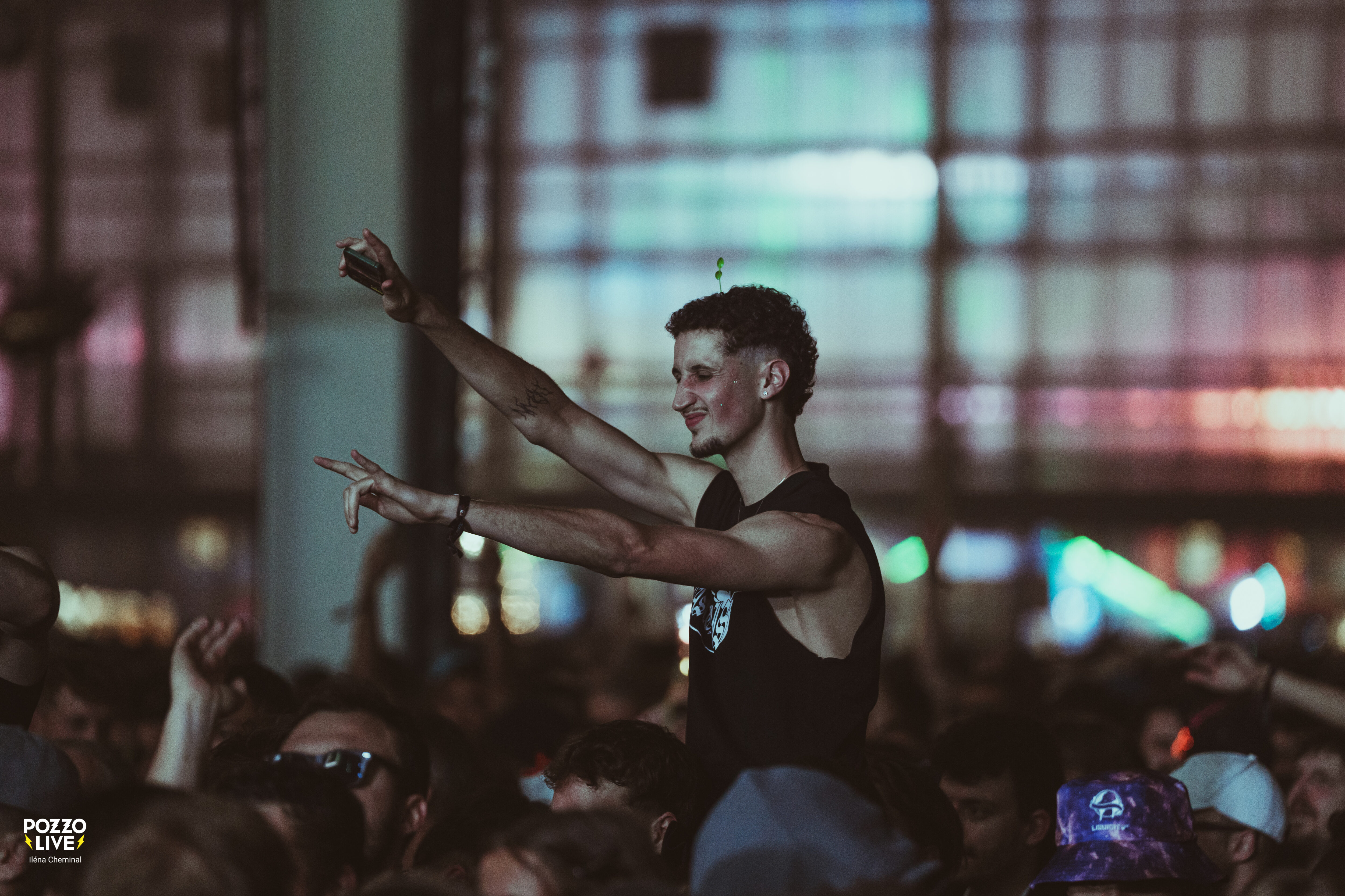 DREAM NATION FESTIVAL