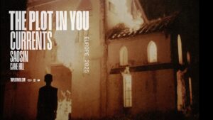 the plot in you anvers