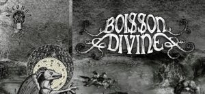 Boisson Divine